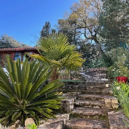 Ferienhaus Grande A Pour 10 Pers. Avec Terrasse Et Jardin - Fr-1-494-212 Royan